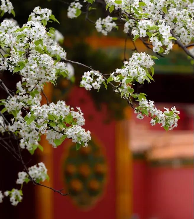 至尊国际 – 至尊服务,至尊享受