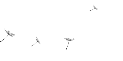 至尊国际 – 至尊服务,至尊享受