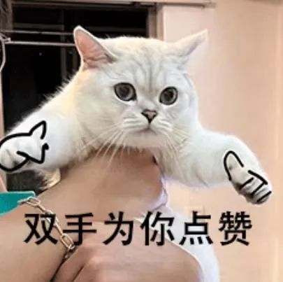 至尊国际 – 至尊服务,至尊享受